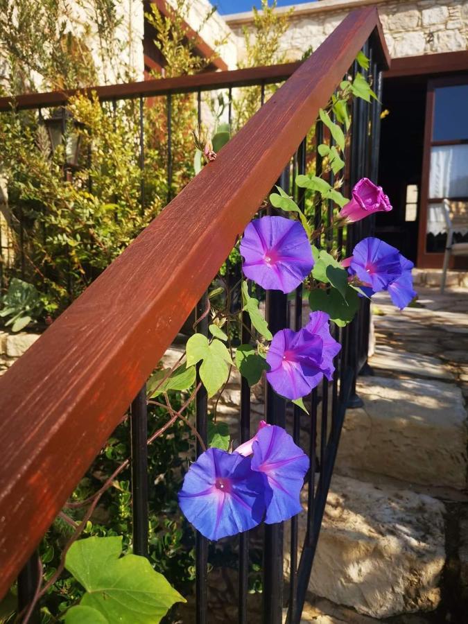 Aliki'S House 1+ 2 Guest House Polis Exterior foto